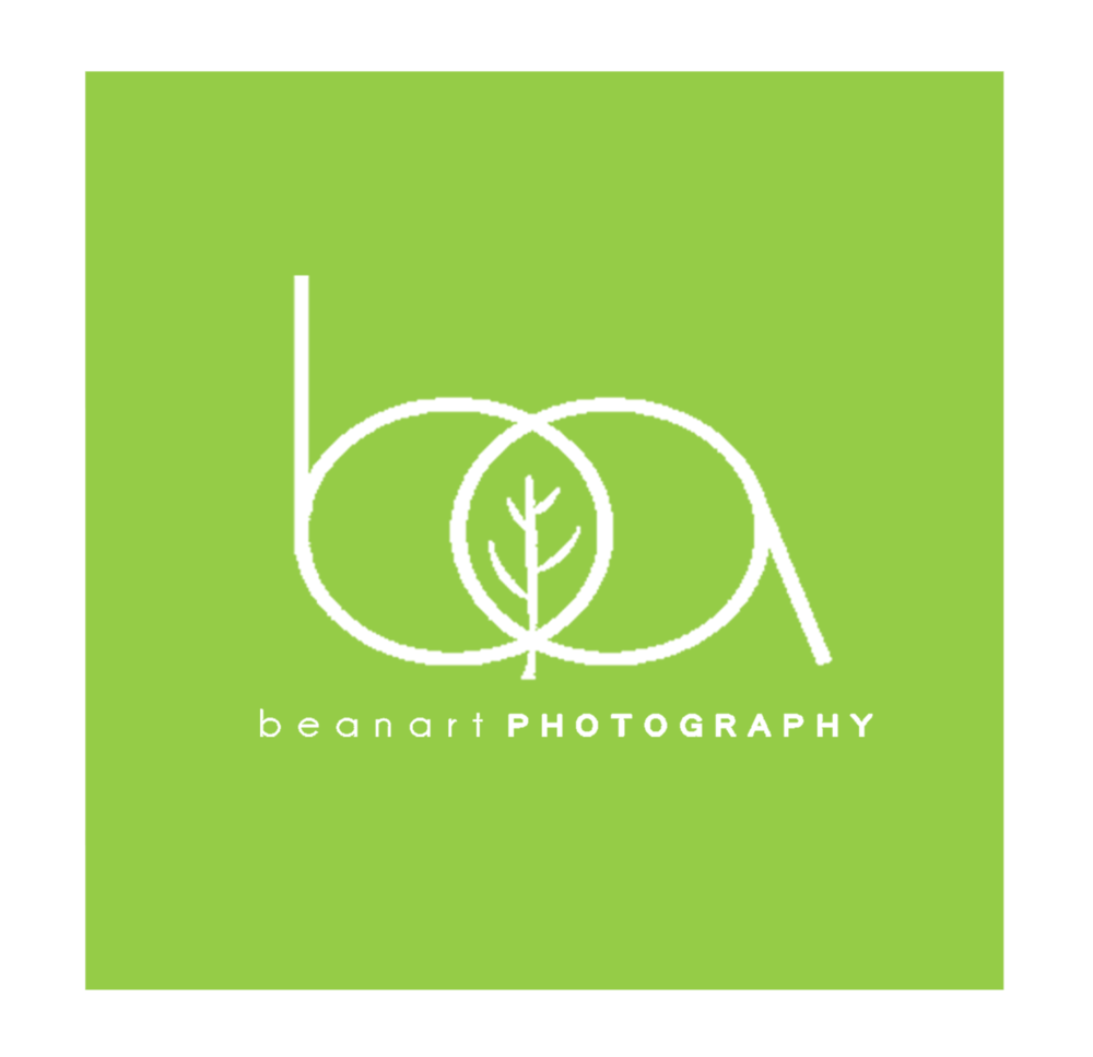 BeanArt Photography Logo